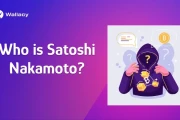Satoshi Nakamoto: Banks Love Bitcoin Now? What a Joke