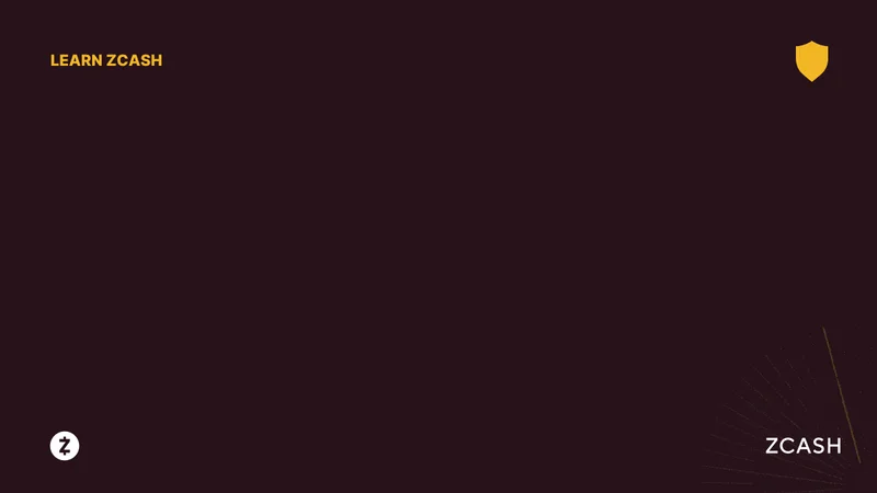 Cypherpunk's $100M Zcash Treasury: A Bold Move and What it Signals